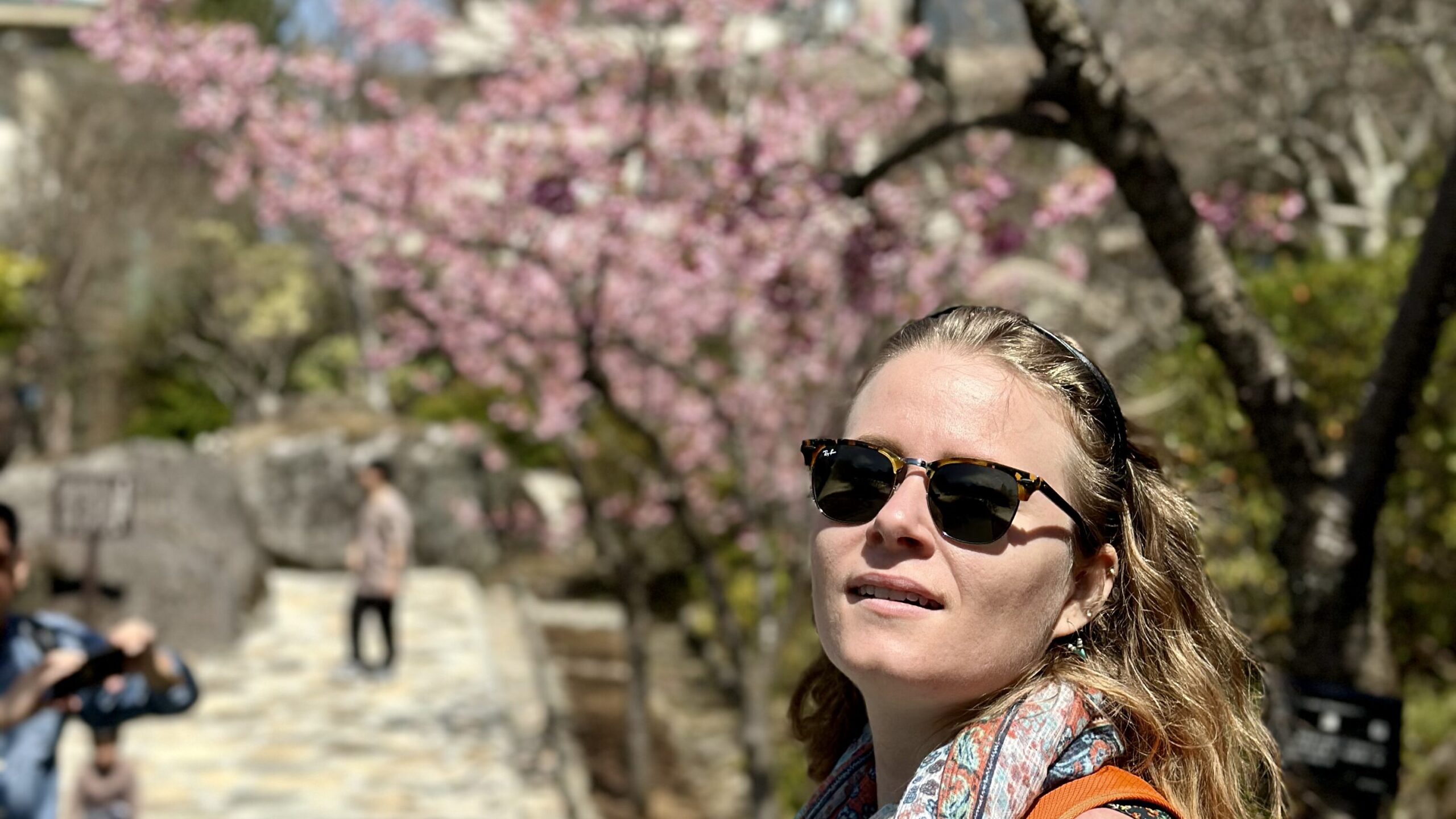 sakura Ueno Tokyo aprile fioritura parziale